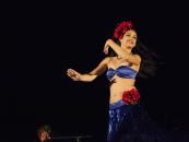 Chief's Luau Chief